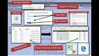 VBAWEB002: Complete Web Automation Using VBA Tutorial | Part 2