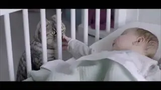 Реклама Whiskas | Вискас - 