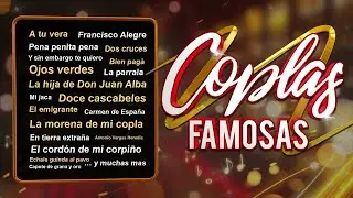 Coplas famosas - Yo soy esa, A tu vera, Pena penita pena, Y sin embargo te quiero, La bien pagá...