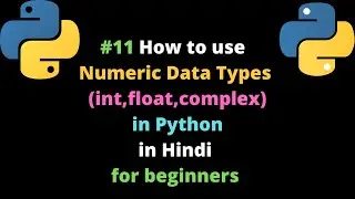 #11 How to use Numeric Data Types (int,float,complex) in Python in Hindi ||Python  DataType  #Python