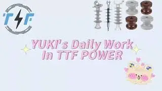 Yuki's Daily Work In TTF Power