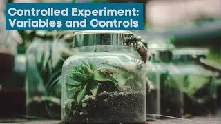 Controls and Variables Conducting a Controlled Experiment | Independent variable Dependent Variable