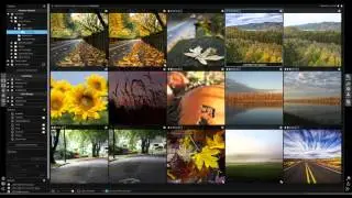 ON1 Photo 10 Short Clip - Re-editable Smart Photos