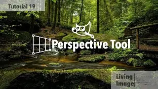 How to use Perspective Tool in Gimp 2.10.22