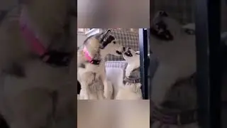 Любовь и чувства 