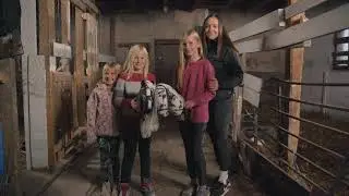 Humma Hobby Horse Size M | Hobby horse stable