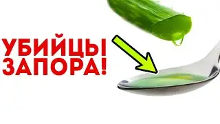 Капнул, выпил и беги в туалет! Что поможет при запорах или как избавиться от запора