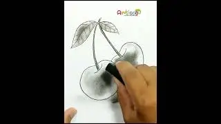 DRAWING REALISTIC CHERRY