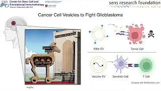 Using Cancer Cell Vesicles to Fight Glioblastoma