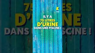 75 litres d’urine dans une piscine ??? 🤢 #shorts