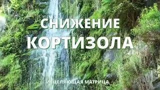 СНИЖЕНИЕ КОРТИЗОЛА - УПРАВЛЕНИЕ СТРЕССОМ - ИСЦЕЛЕНИЕ НЕРВОВ ЗВУКОМ