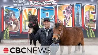 Meet the 2 miniature horses bringing joy to the streets of an Ontario town