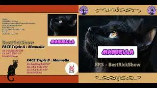BestRickShow - Manuella (Voxalys, D.L.C, KaraOkay, N.T.V 1, N.T.V 2)