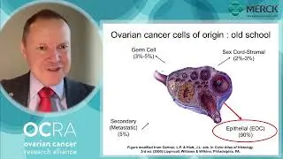 Ovarian Cancer From Beyond the Ovary: Perspectives on Science, Clinical Progress and Advocacy (2022)