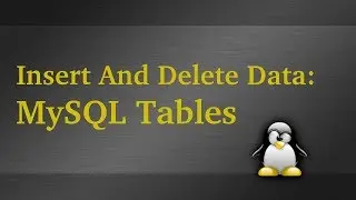 Insert Into & Delete Data From MySQL Table