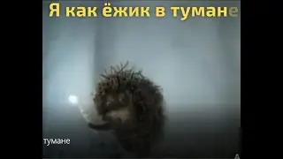 Я как Ёжик в тумане...Заблудился в судьбе.Премьера.Новые видео стихи.
