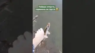 Поймал отпусти, сорвалось не грусти 😀