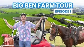 MY FAMILY FARM TOUR | Robi Domingo