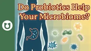 Do Probiotics Help your Microbiome?