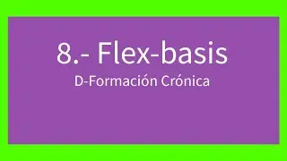 #8   🏆 Entender FLEX-BASIS de flexbox!!!