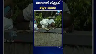 Crowds of devotees on the roads in Tirumala | తిరుమలలో రోడ్లపైనే భక్తుల కునుకు | ZEE Telugu News