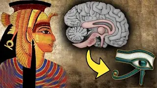 Third Eye Pineal Gland: The Biggest Cover-Up in Human History