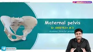 Maternal Pelvis : Obstetrics and Gynaecology Lecture