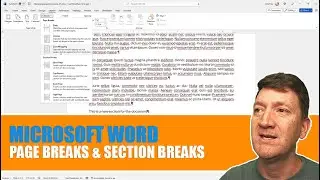 Using Page Breaks and Section Breaks in Word