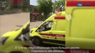 Упавшее дерево повредило две машины в Туле