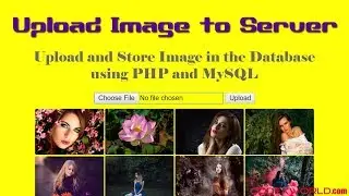 Upload and Store Image File in Database using PHP and MySQL