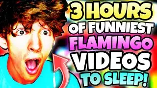 *3 HOURS* OF FLAMINGO TO FALL ASLEEP TO! (MARATHON/ROBLOX)