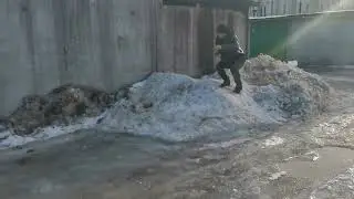 петарда мамба против сугроба😏