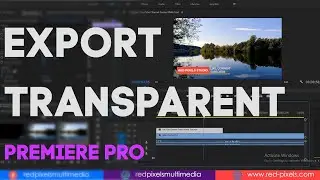 How to Export with a Transparent Video || Quick Render Alpha Channel in Adobe Premiere Pro CC