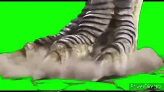 Green Screen Godzilla Stomp (read the description)