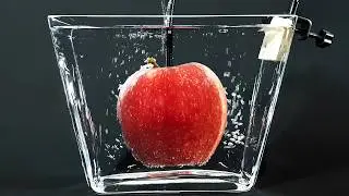 🍎 Apple in water for 365 days