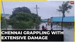 Cyclone Michaung News: Food Shortage, Power Supply In Chennai Cut Off Due To Cyclone Michaung