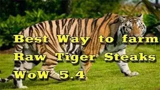 How to farm Raw Tiger Steaks? WoW 5.4