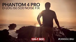 📸 D-LOG ISO500 NOISE FIX | DJI Phantom 4 Pro & Mavic Pro