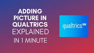How To Add Picture In Qualtrics? (2024)
