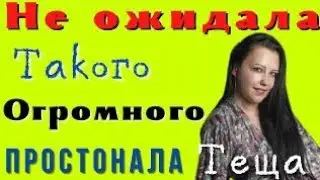 Теща шокировала зятя|Интересные истории из жизни.