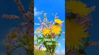 ПРОСТО, А КАК КРАСИВО! СОГЛАСНЫ? 