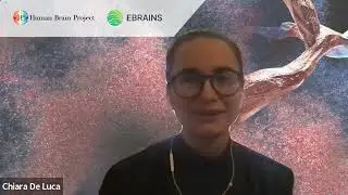 HBP Young Researchers - 