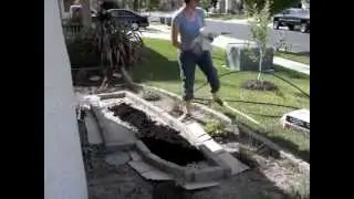 Front Yard Herb Garden: Defy City Ordinance