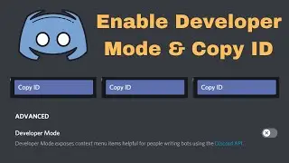 Enable Discord Developer Mode & Copy ID - (2020 Guide)