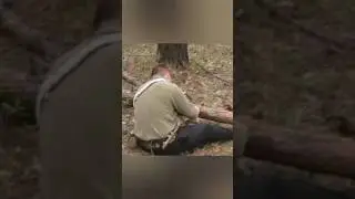 ОТШЕЛЬНИК ПИЛИТ БРЕВНО