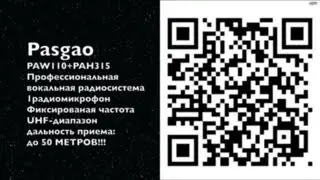 Радиомикрофон Pasgao paw110+pah315 в музыкальном магазине Ижевска