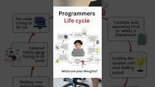 Programmers Life cycle