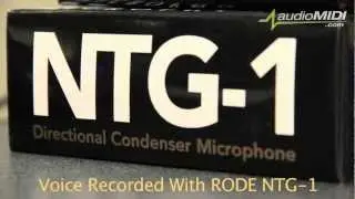 audioMIDI.com Rode NTG-1 Condensor Microphone for DSLR or iPhone IPad Video Recording