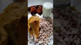 Boiled Rice & Fish Curry 