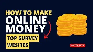 Top Websites That Will Pay You US$100-US$700 PER HOUR To Do SURVEYS